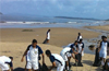 Mangaluru: Coastal cleanup drive by Coast Guards